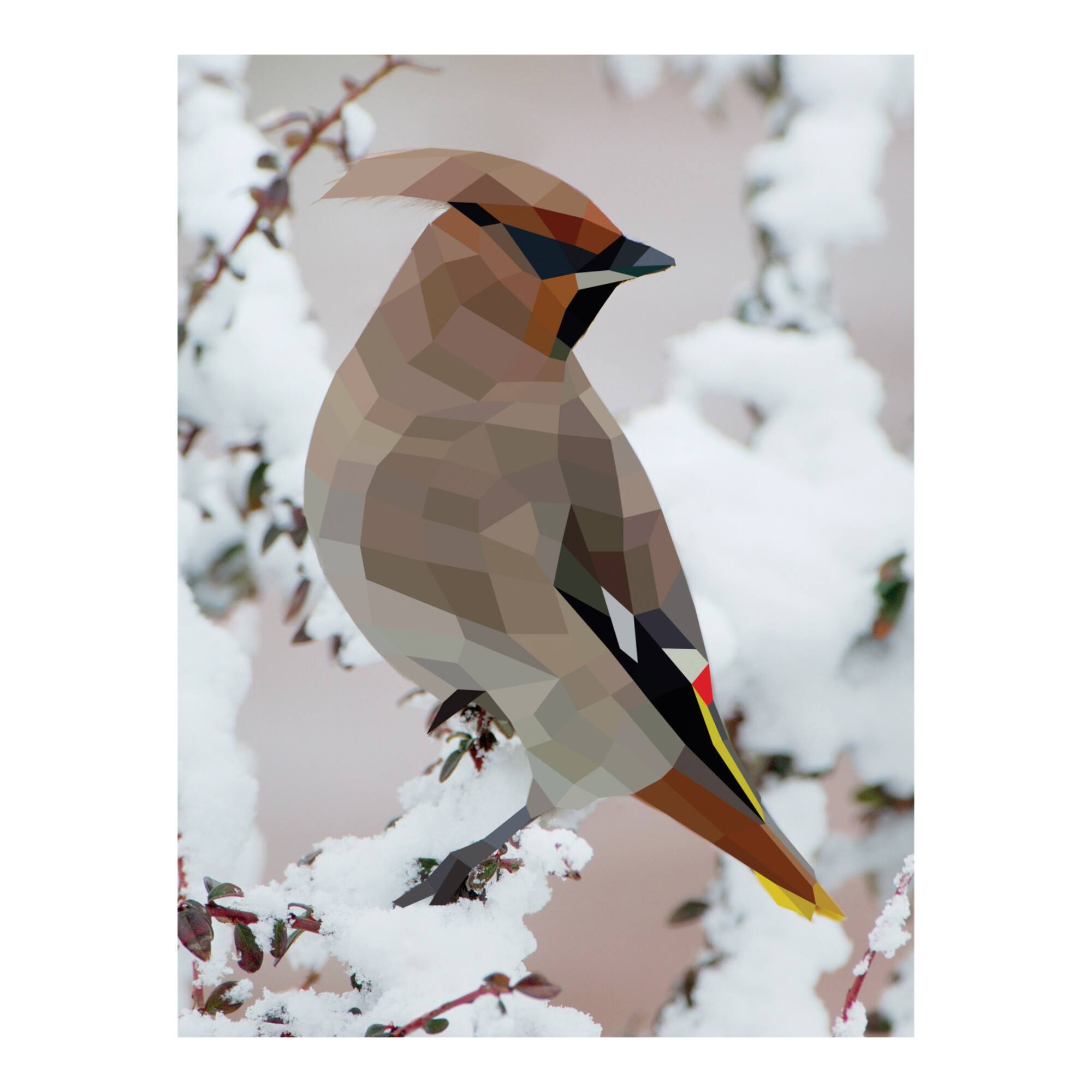 Workman Publishing Birds Paint by Sticker™ Book